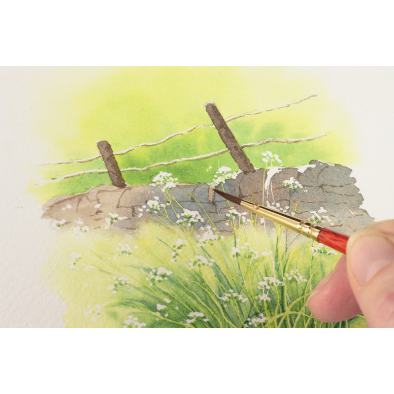 Les paysages à l’aquarelle Beaux-arts