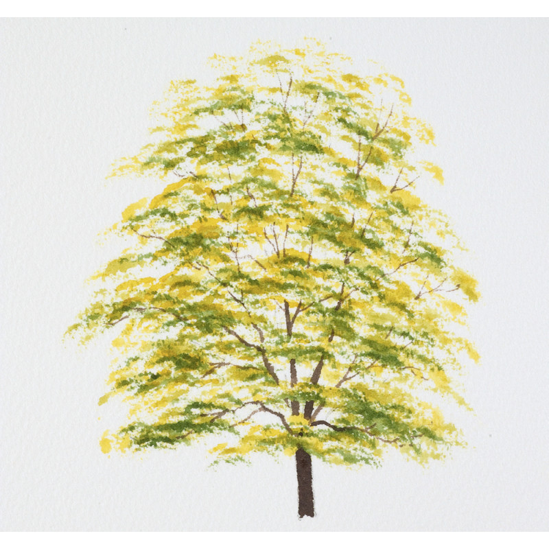 Les paysages à l’aquarelle Beaux-arts