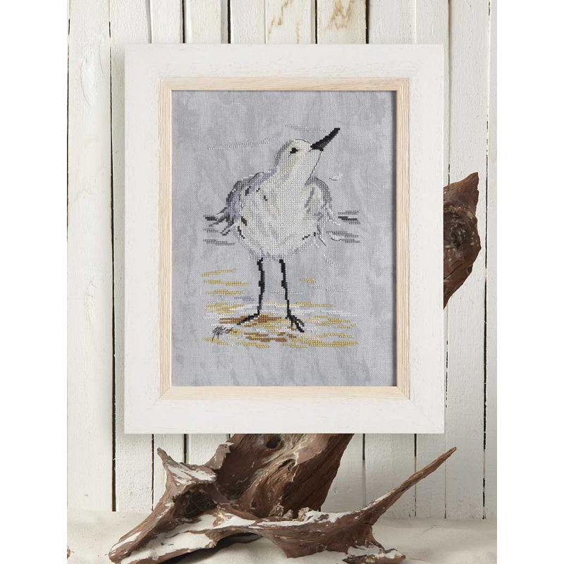 Le bécasseau sanderling Modèles