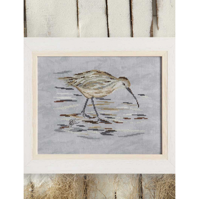 Modèle - Le courlis cendré Modèle à télécharger Modèles