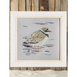 Modèle - Le grand gravelot Modèle à télécharger Modèles