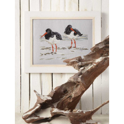 Modèle - Les huîtriers Modèle à télécharger Modèles