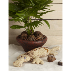 Modèle - Au soleil... Insolite et exotique Modèle à télécharger Modèles