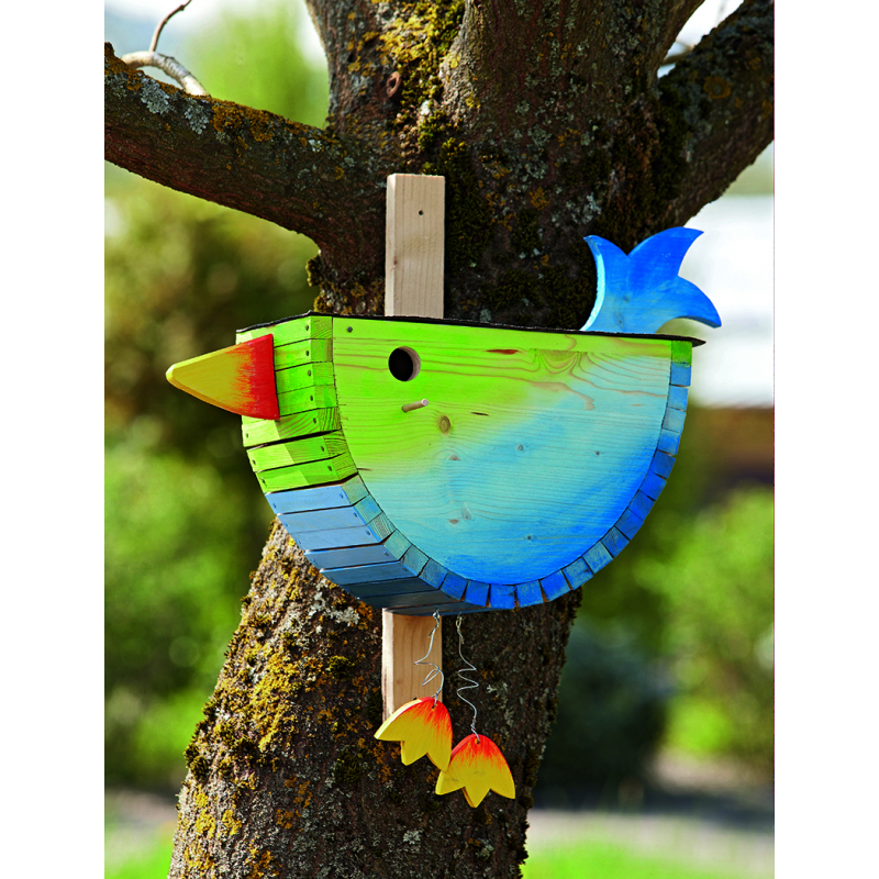 Oiseau multicolore Modèles