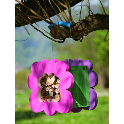 Grande fleur Modèles