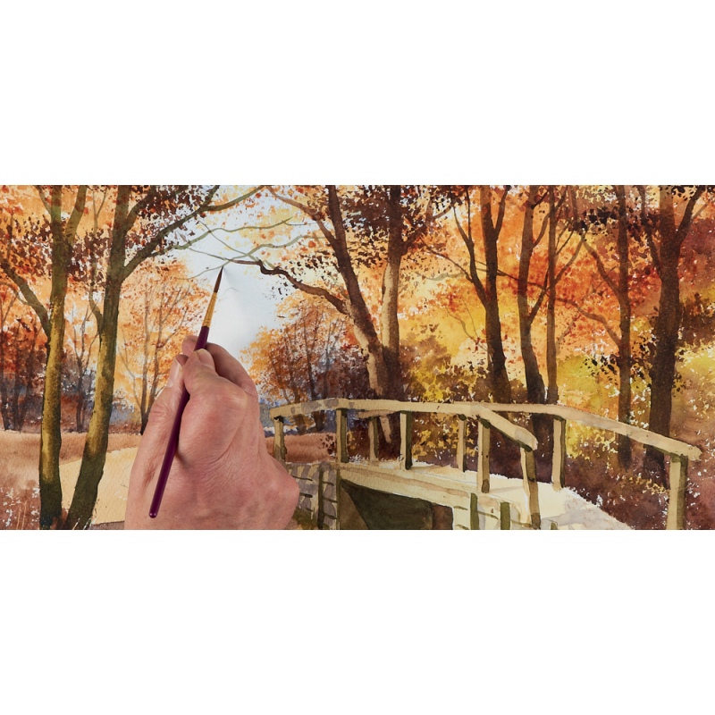 Paysages de campagne Livre Beaux-arts