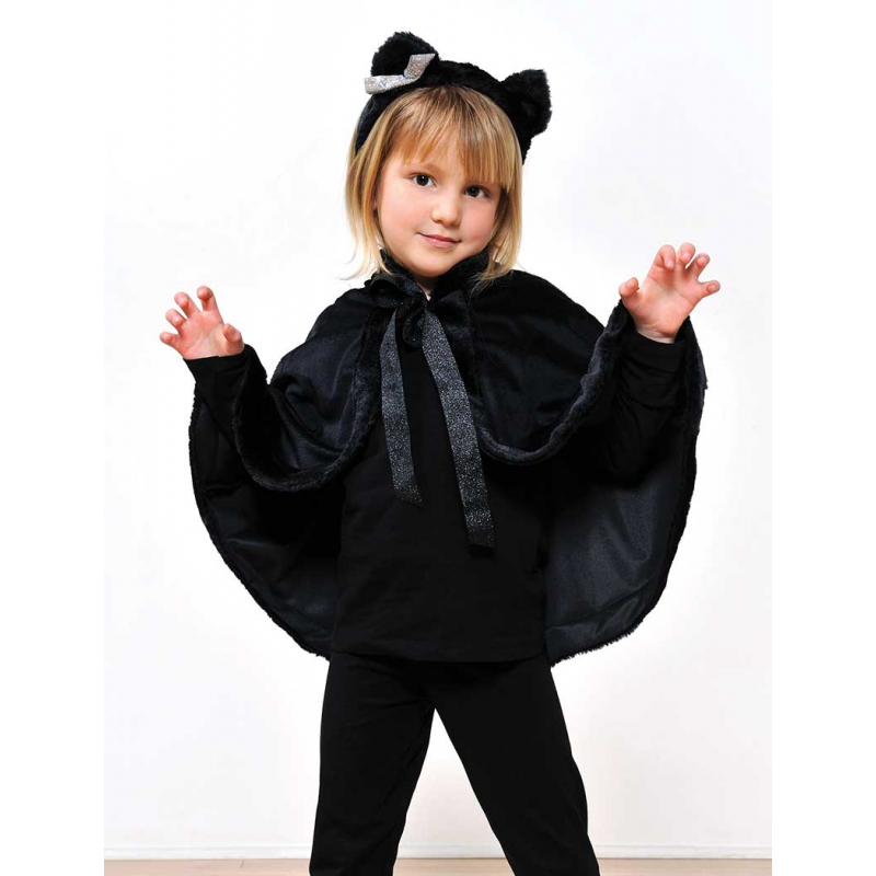 Modèle - Le chat Modèles