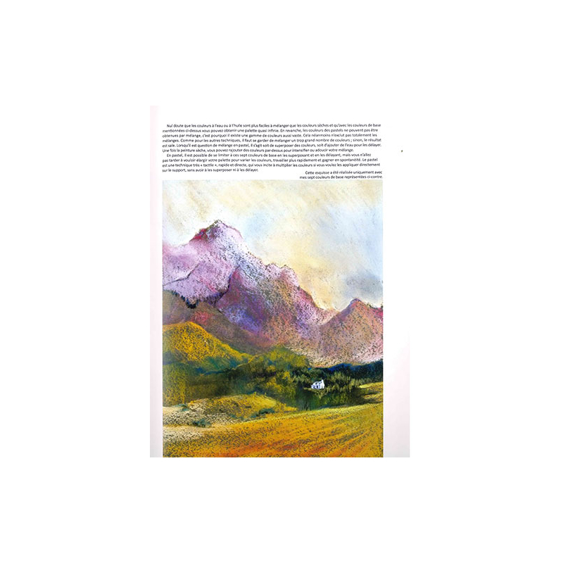 Le pastel en toute liberté Livre Beaux-arts
