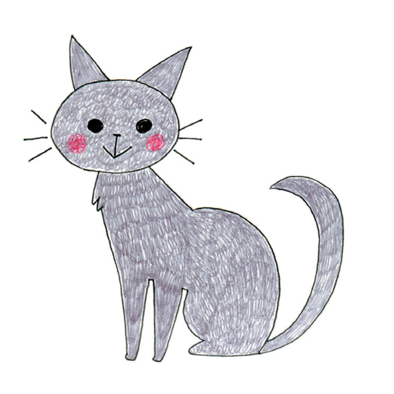 Dessiner les chats au stylo à bille Livre Loisirs créatifs