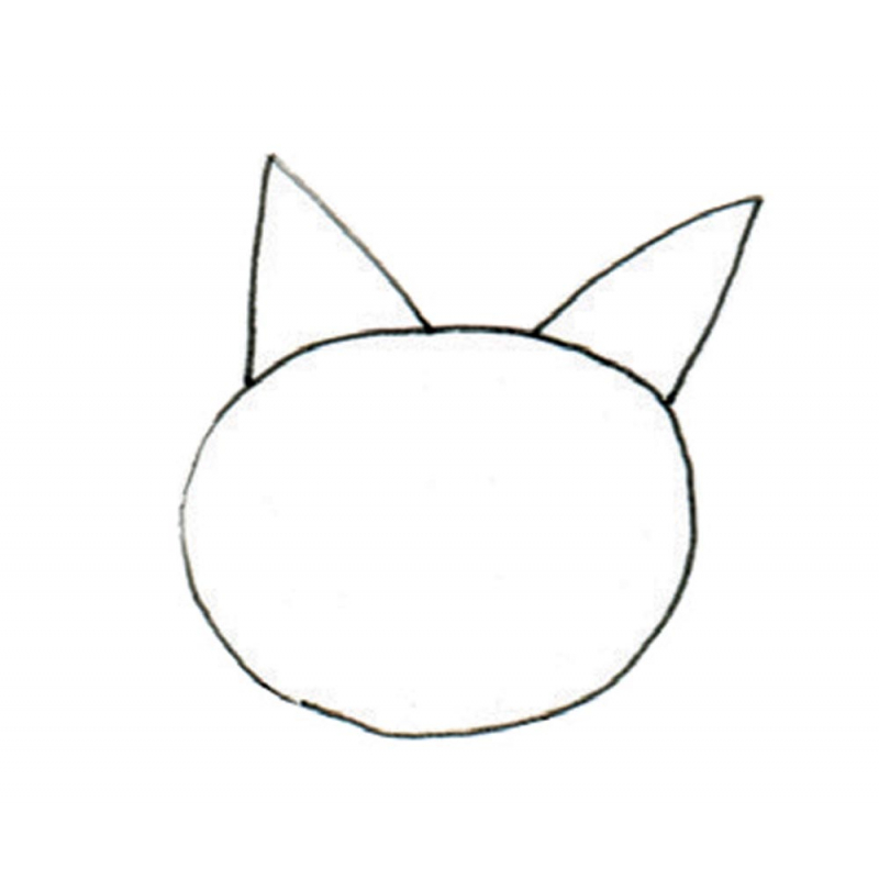 Dessiner les chats au stylo à bille Livre Loisirs créatifs