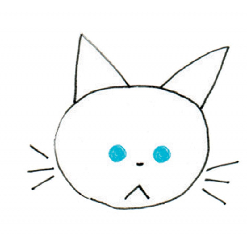 Dessiner les chats au stylo à bille Livre Loisirs créatifs