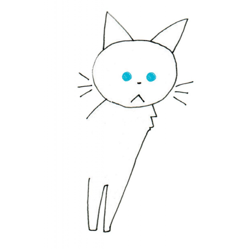 Dessiner les chats au stylo à bille Livre Loisirs créatifs