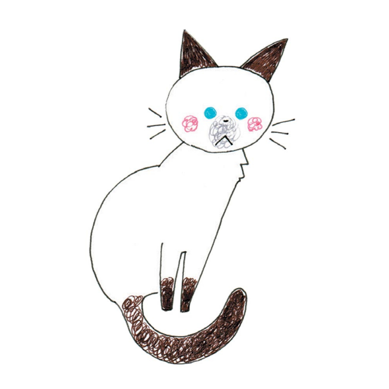 Dessiner les chats au stylo à bille Livre Loisirs créatifs