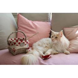 Tout ça pour chat ! Livre Couture Tout ça pour chat ! Livre Couture