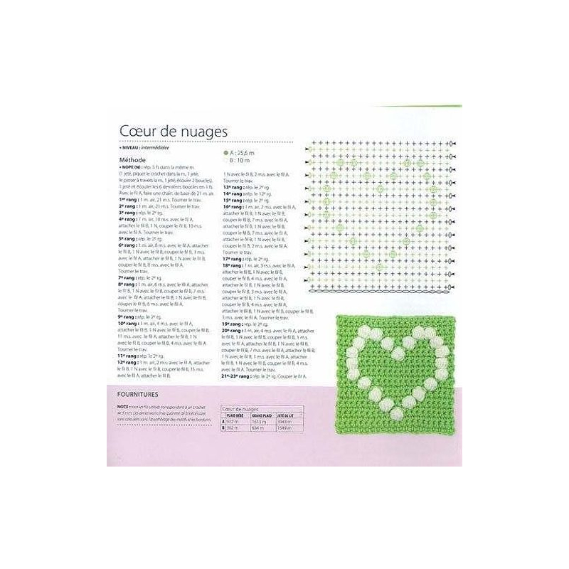 100 Granny Squares acidulés Livre Crochet
