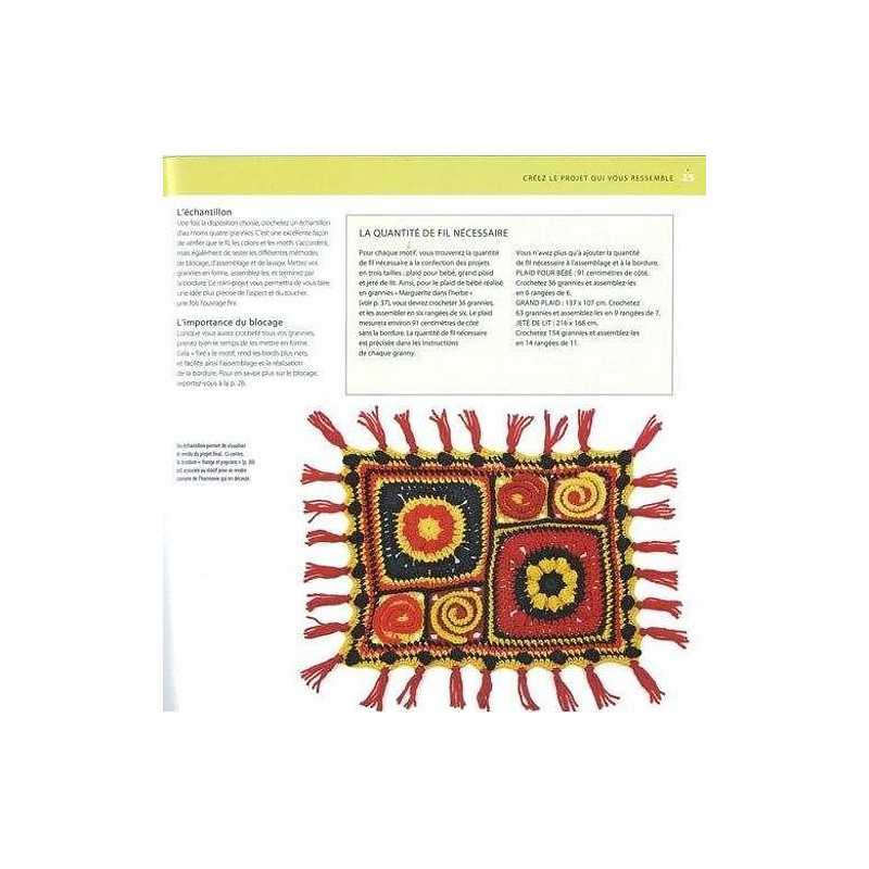 100 Granny Squares acidulés Livre Crochet