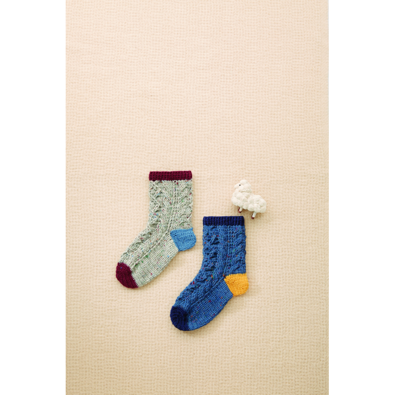 Chaussettes multicolores Livre Crochet