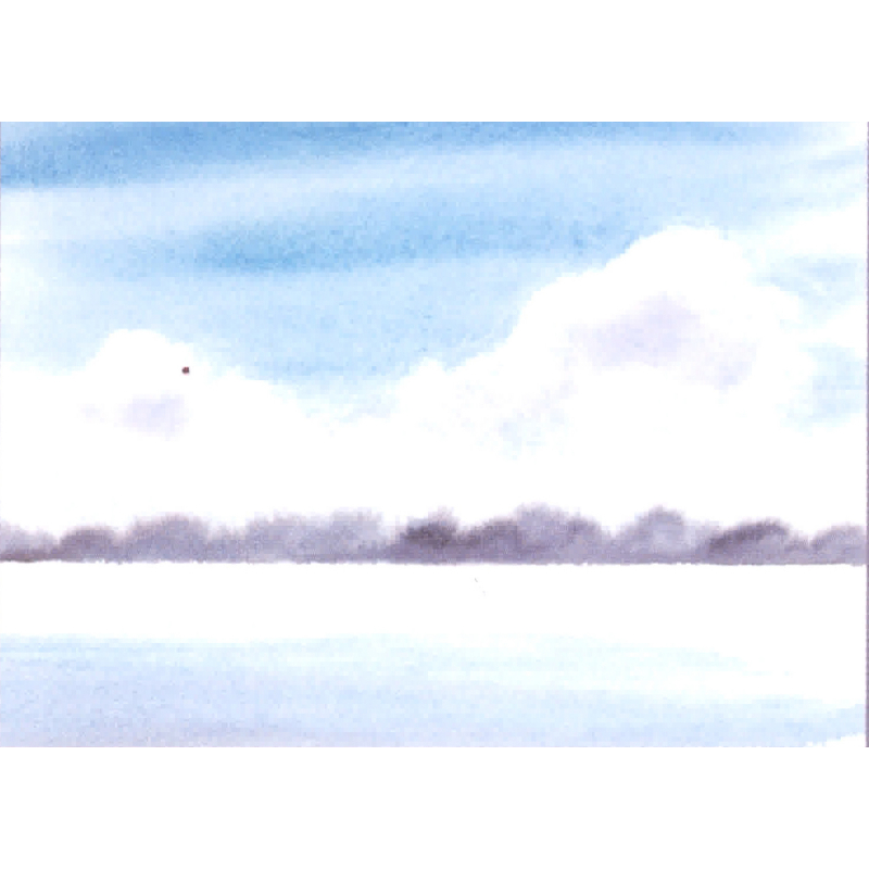 Je débute à l'aquarelle Livre Beaux-arts