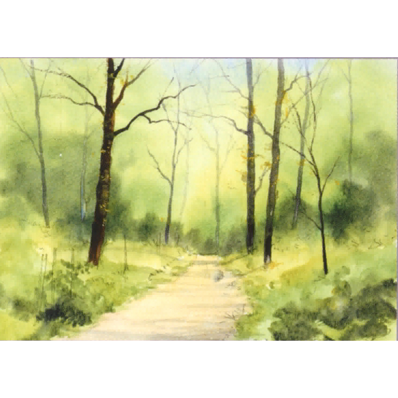 Je débute à l'aquarelle Livre Beaux-arts