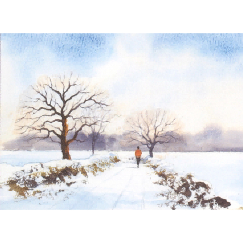 Je débute à l'aquarelle Livre Beaux-arts