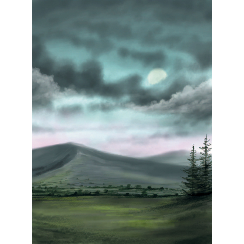Peindre sur tablette Livre Beaux-arts