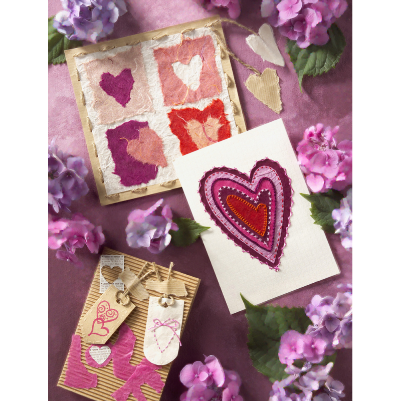 Cartes & Faire-part Livre Loisirs créatifs