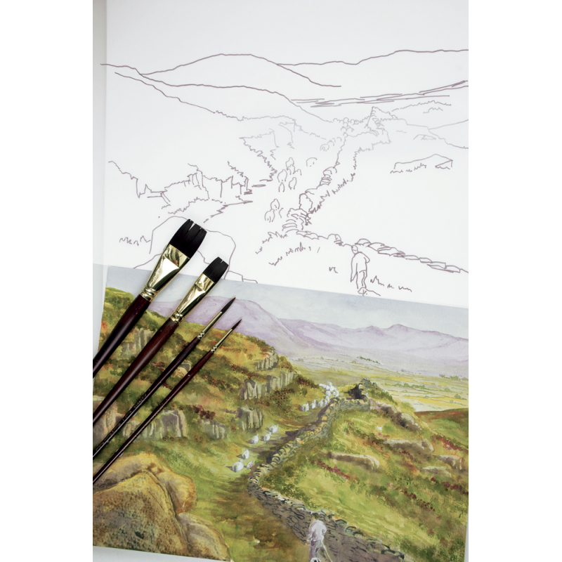 Paysages intemporels Livre Beaux-arts