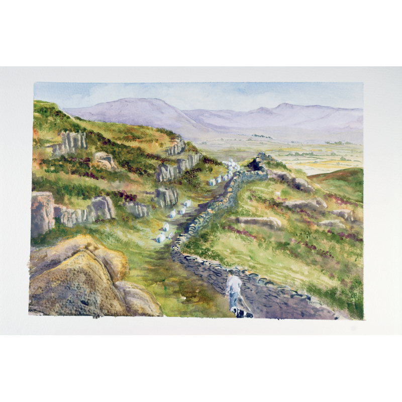 Paysages intemporels Livre Beaux-arts