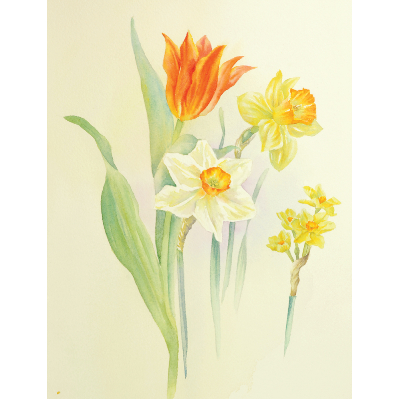 Les fleurs à l'aquarelle Livre Beaux-arts