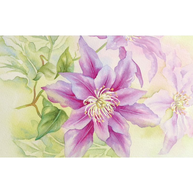 Les fleurs à l'aquarelle Livre Beaux-arts
