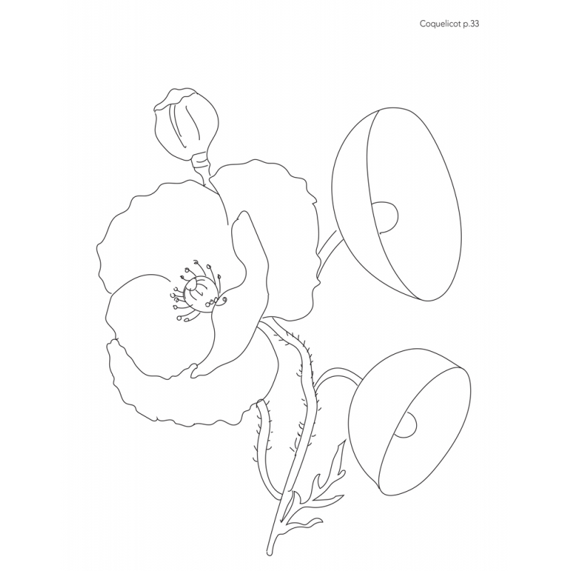 Les fleurs à l'aquarelle Livre Beaux-arts
