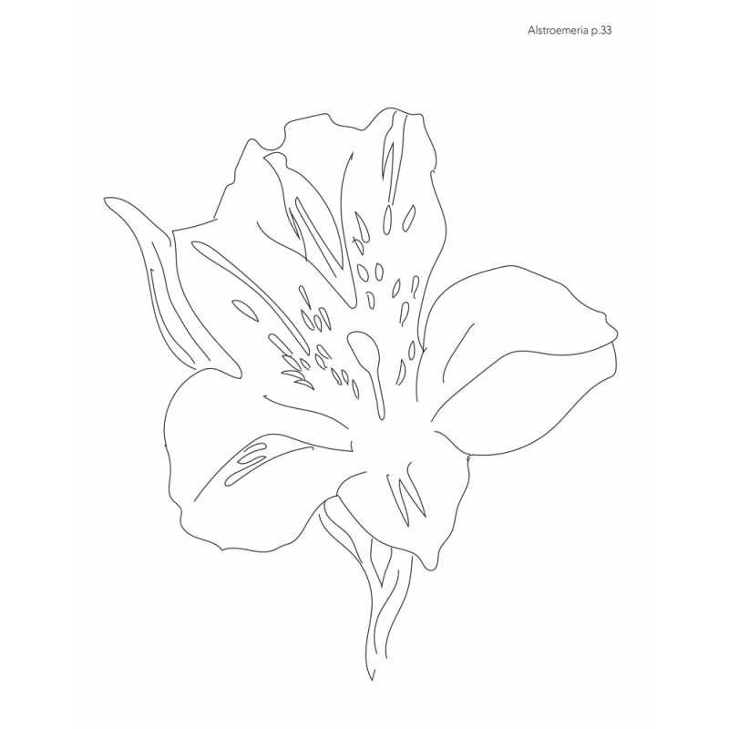 Les fleurs à l'aquarelle Livre Beaux-arts