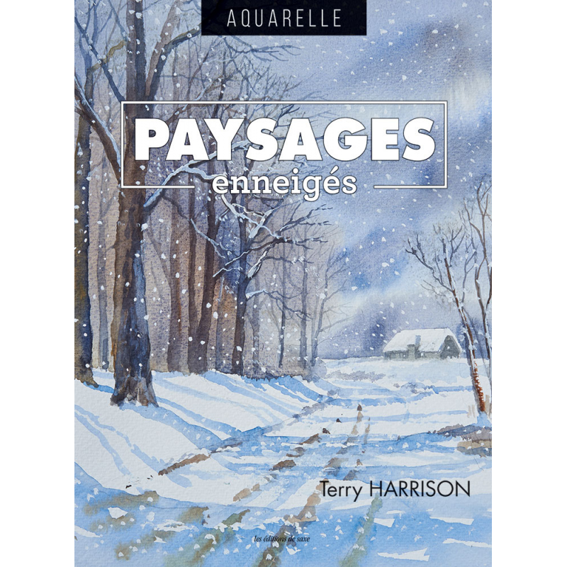 Paysages enneigés Livre Beaux-arts