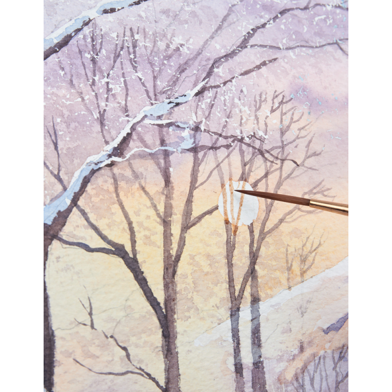 Paysages enneigés Livre Beaux-arts