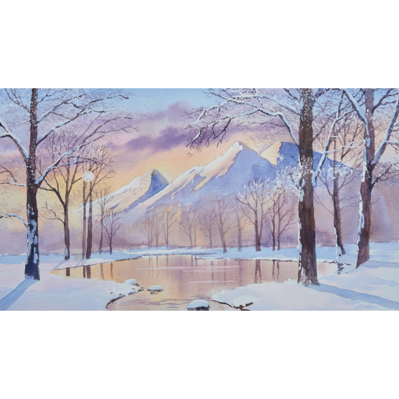 Paysages enneigés Livre Beaux-arts