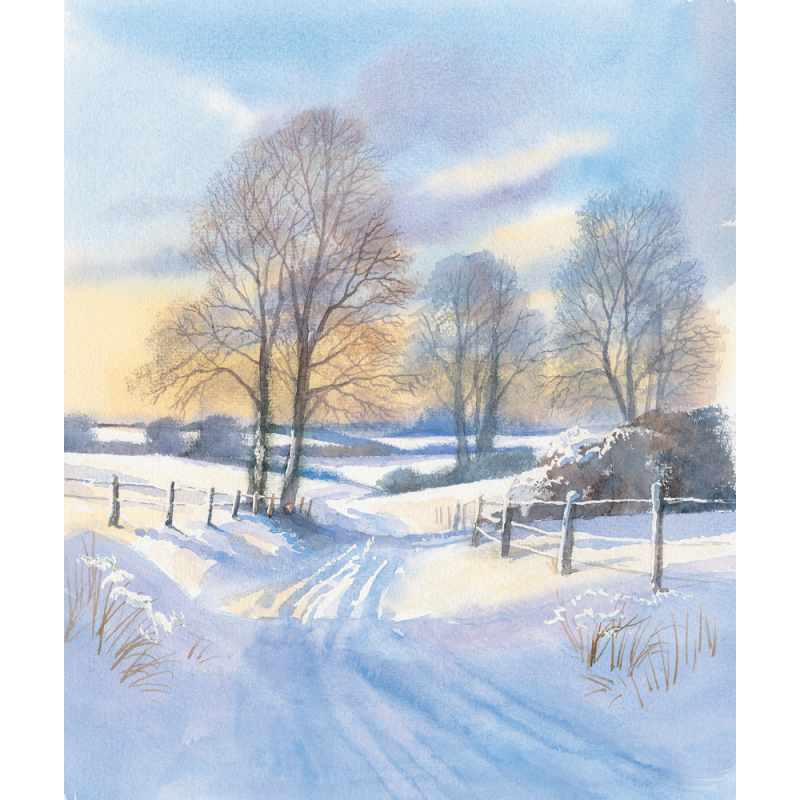 Paysages enneigés Livre Beaux-arts