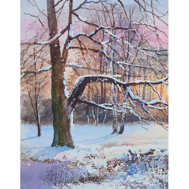 Paysages enneigés Livre Beaux-arts