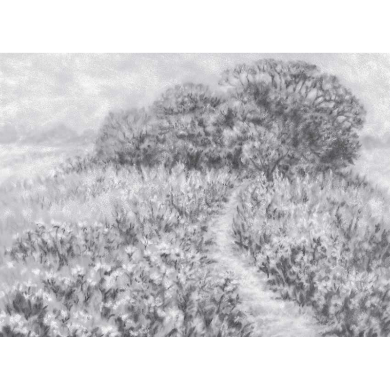 Les paysages Livre Beaux-arts