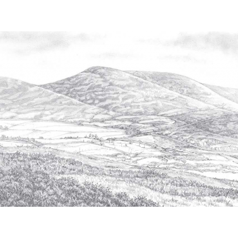 Les paysages Livre Beaux-arts