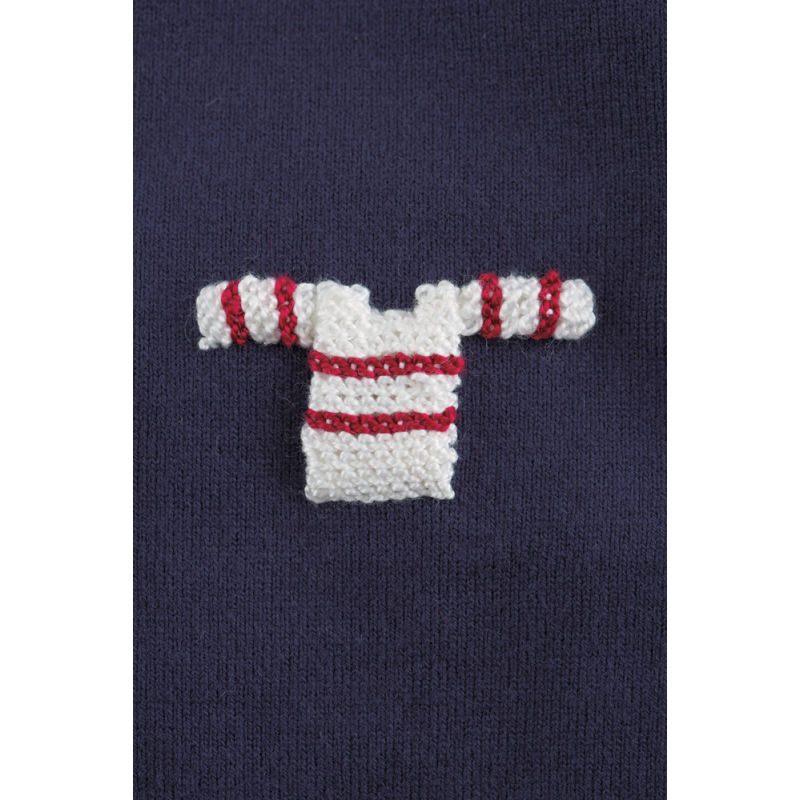 Jolis motifs en stumpwork Livre Broderie