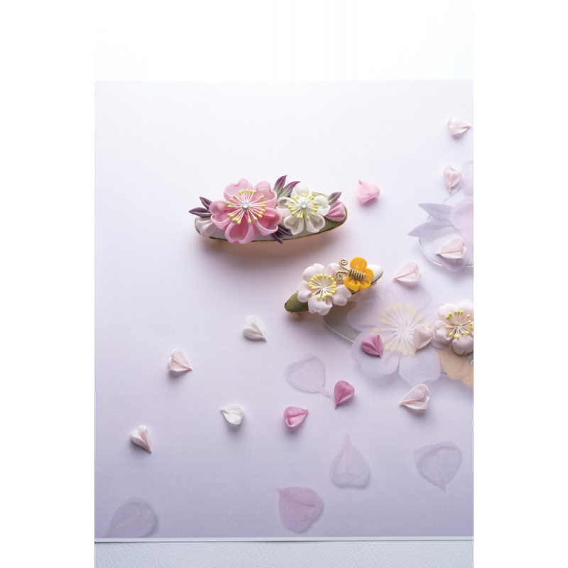 Accessoires en tsumami Livre Loisirs créatifs