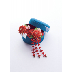 Accessoires en tsumami Livre Loisirs créatifs Accessoires en tsumami Livre Loisirs créatifs
