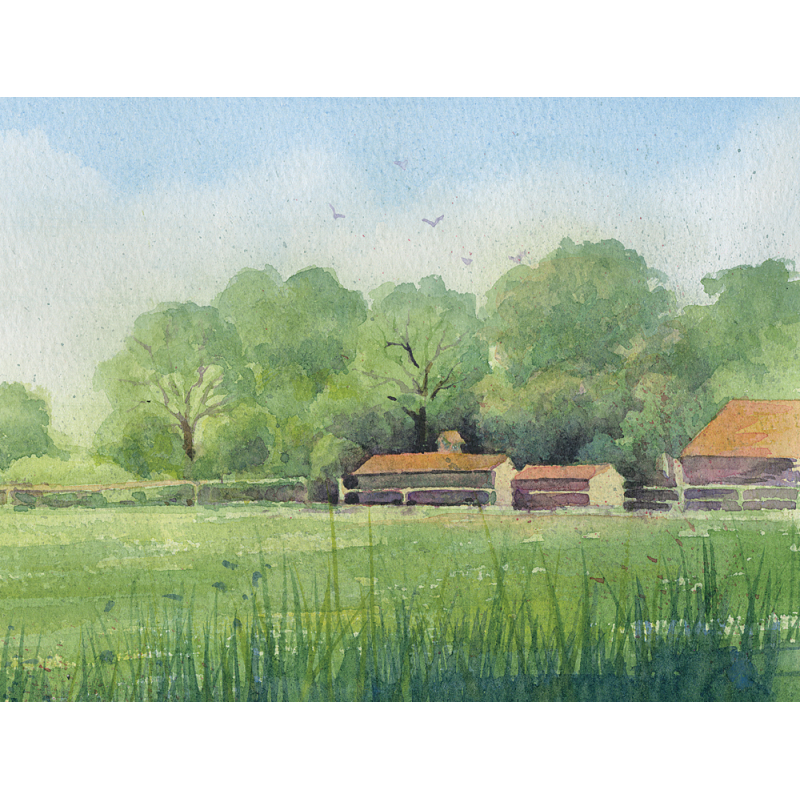 Paysages à l'aquarelle Livre Beaux-arts