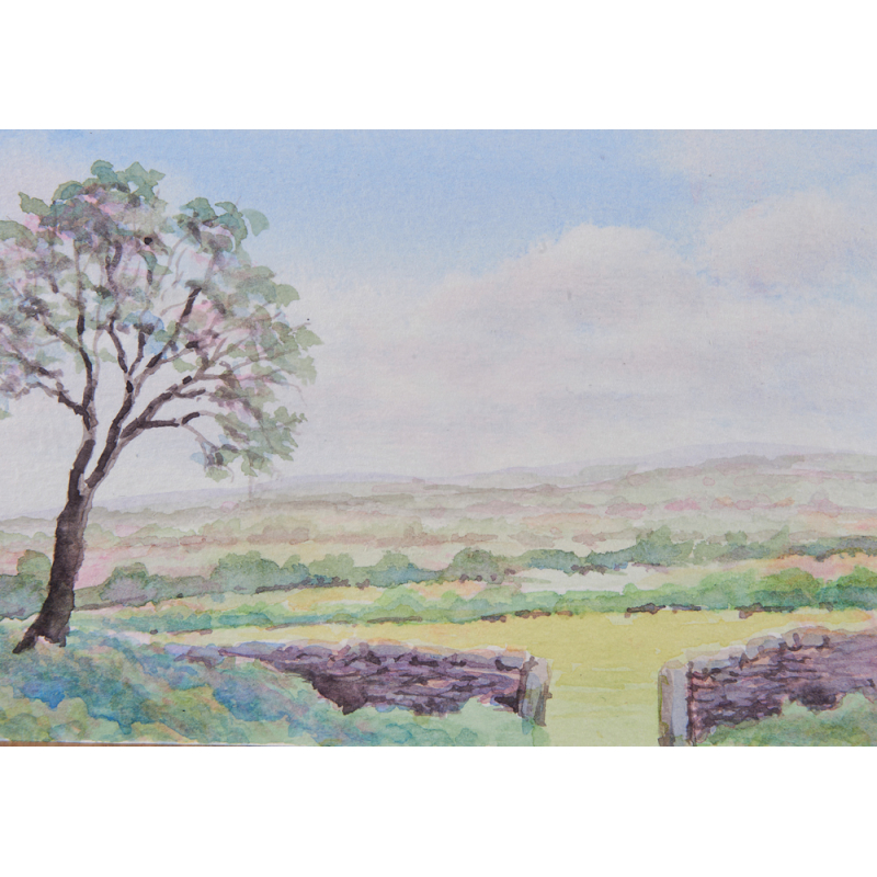 Paysages à l'aquarelle Livre Beaux-arts