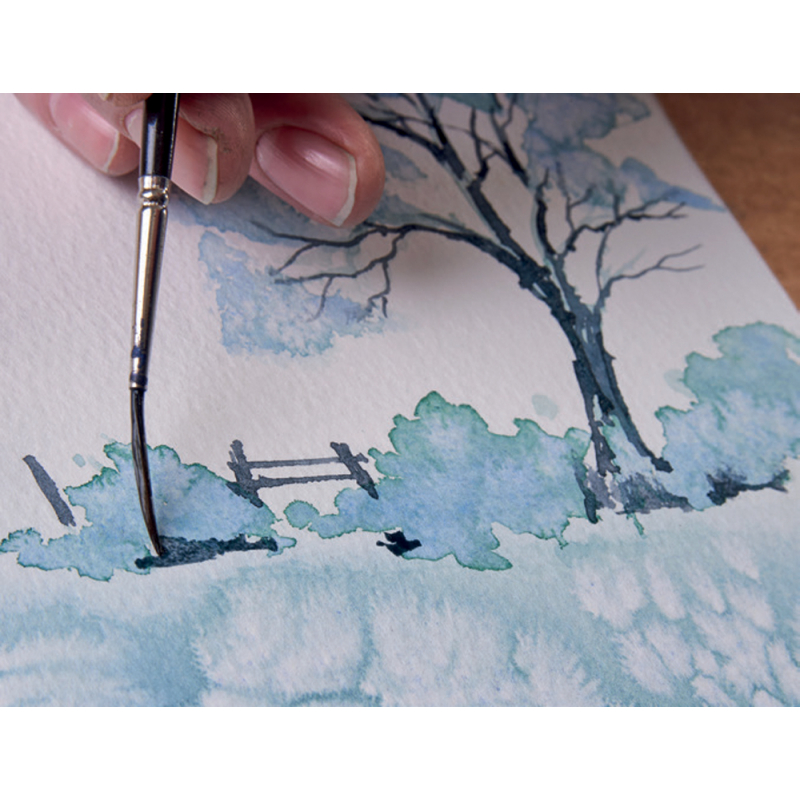 Paysages à l'aquarelle Livre Beaux-arts