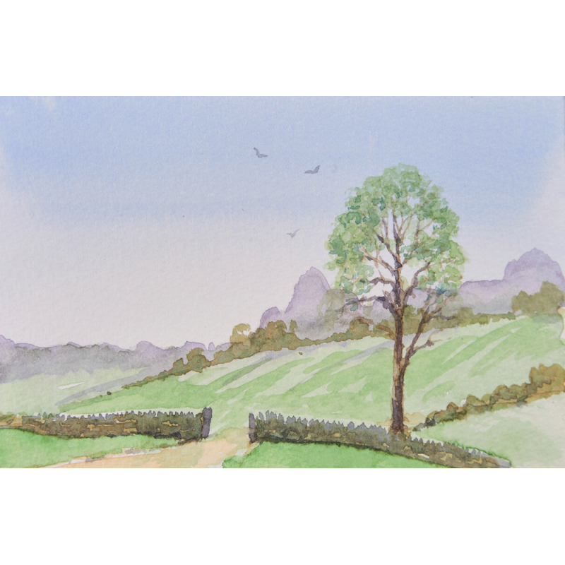 Paysages à l'aquarelle Livre Beaux-arts