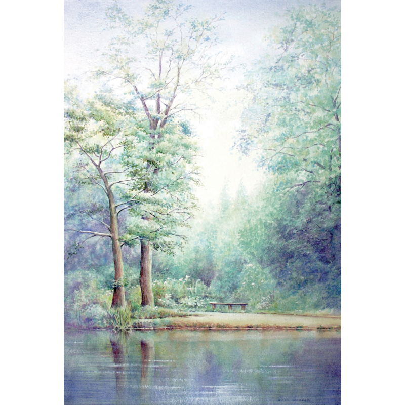 Paysages à l'aquarelle Livre Beaux-arts