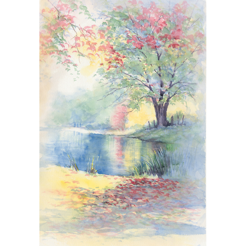 Paysages à l'aquarelle Livre Beaux-arts