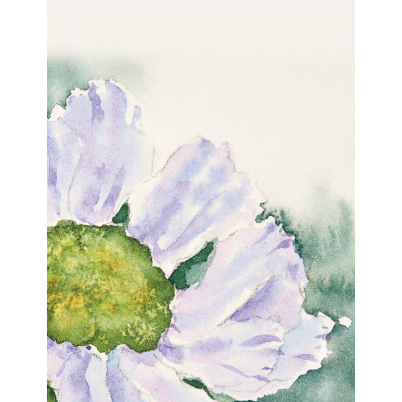 Peinture florale à l'aquarelle Livre Beaux-arts