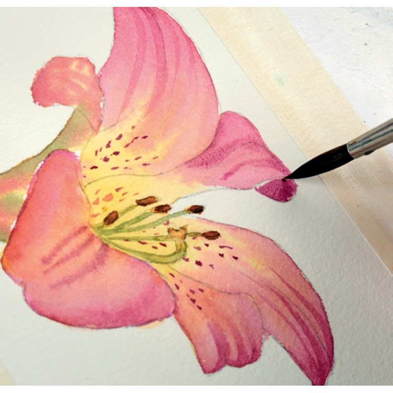 Peinture florale à l'aquarelle Livre Beaux-arts